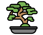 Bonsai