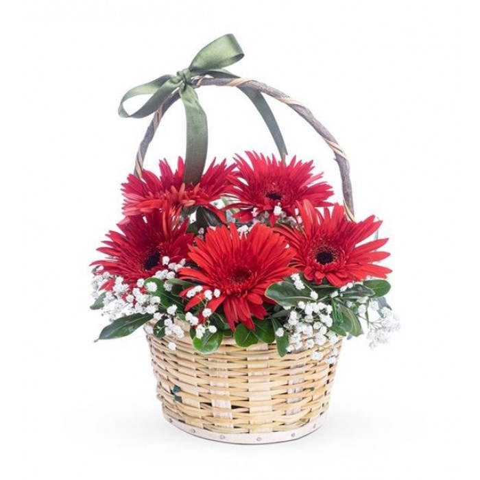 Çiçek Sepeti - 5 Kırmızı Gerbera Çiçek Sepeti - 5 Kırmızı Gerbera