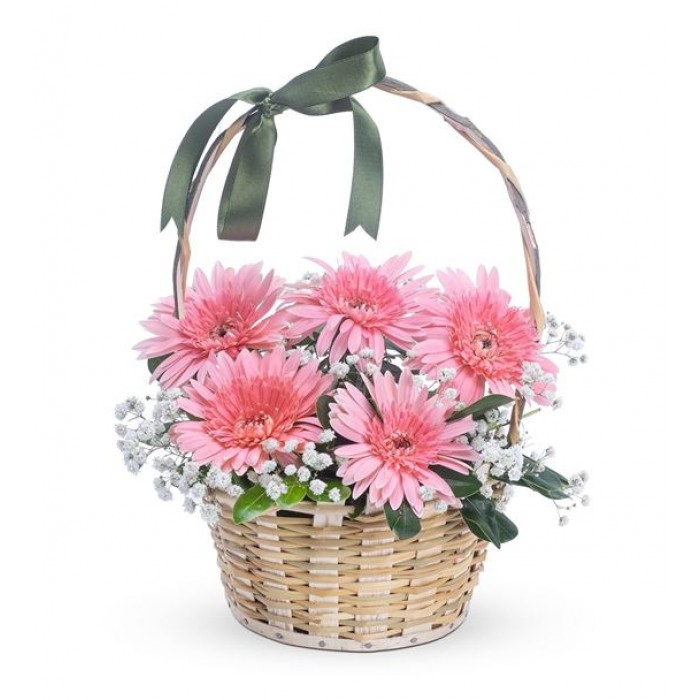 Çiçek Sepeti - 5 Pembe Gerbera Çiçek Sepeti - 5 Pembe Gerbera